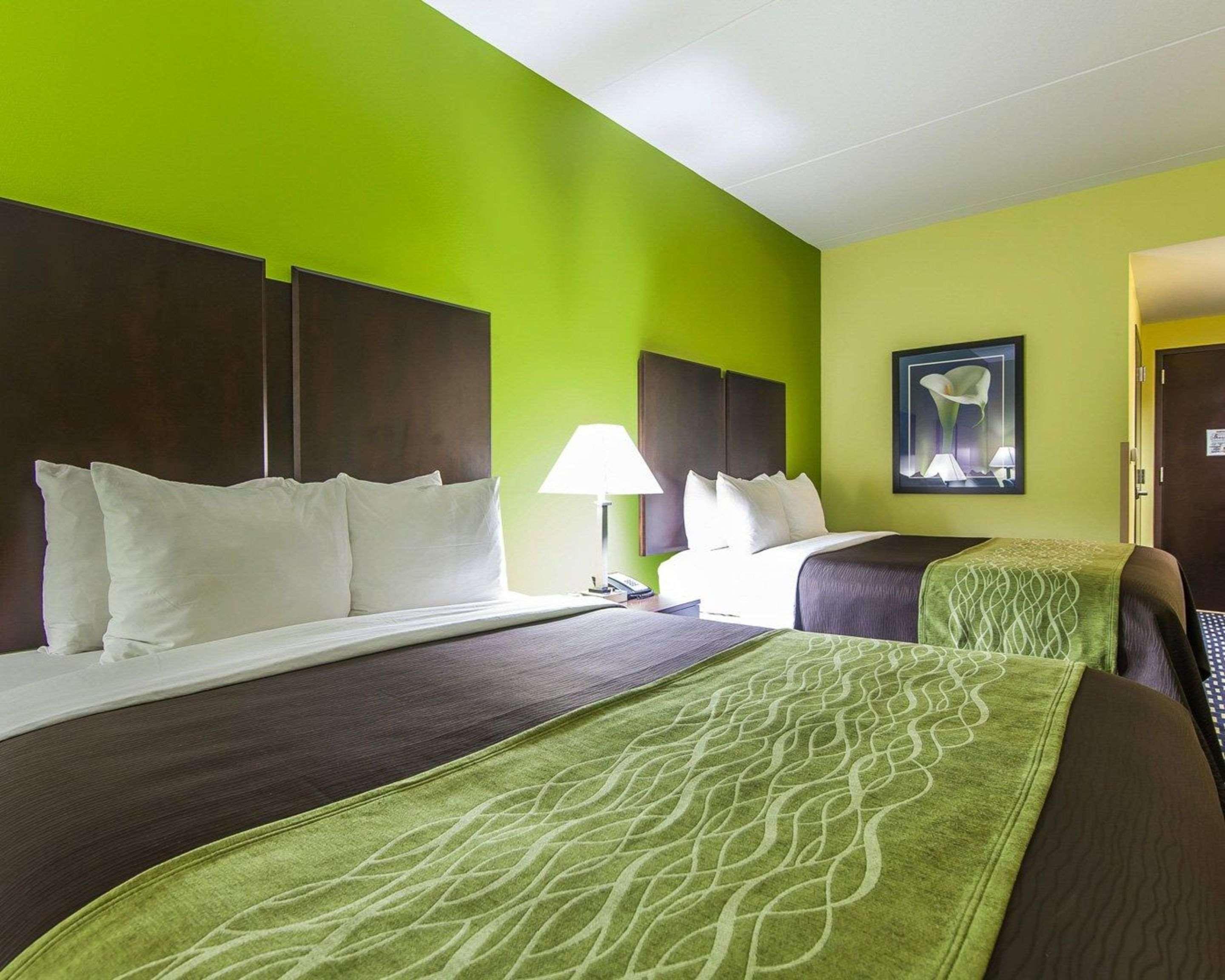 Comfort Inn Athens I - 75 Buitenkant foto