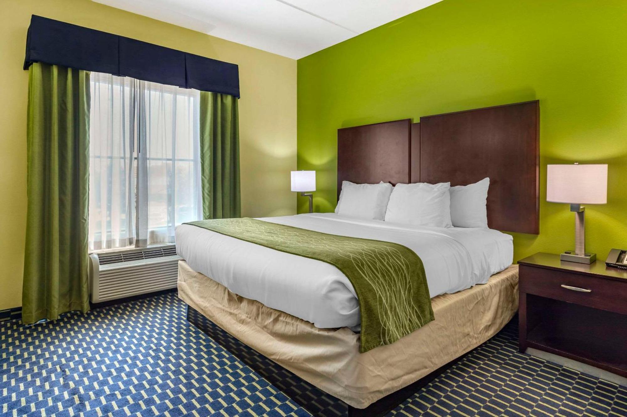 Comfort Inn Athens I - 75 Buitenkant foto