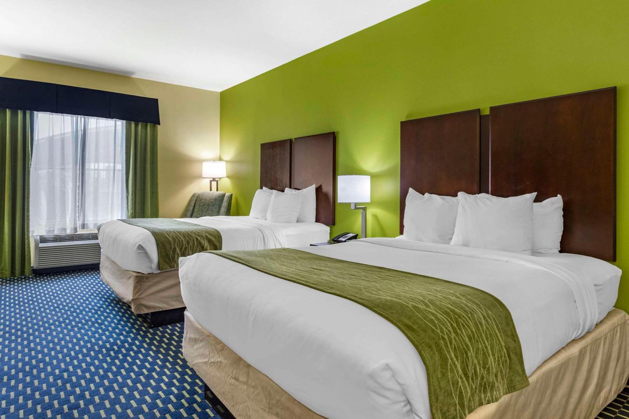 Comfort Inn Athens I - 75 Buitenkant foto