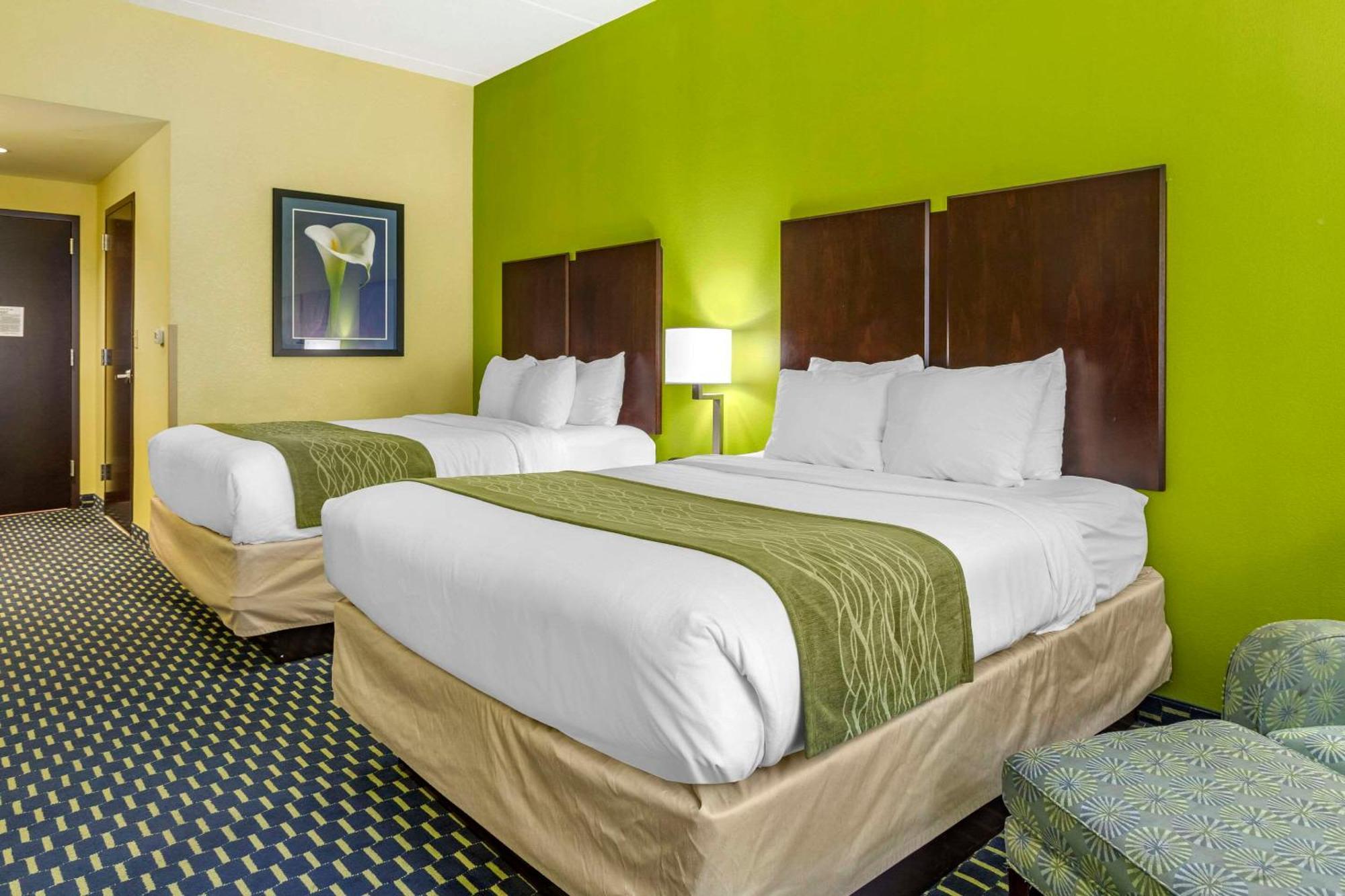 Comfort Inn Athens I - 75 Buitenkant foto