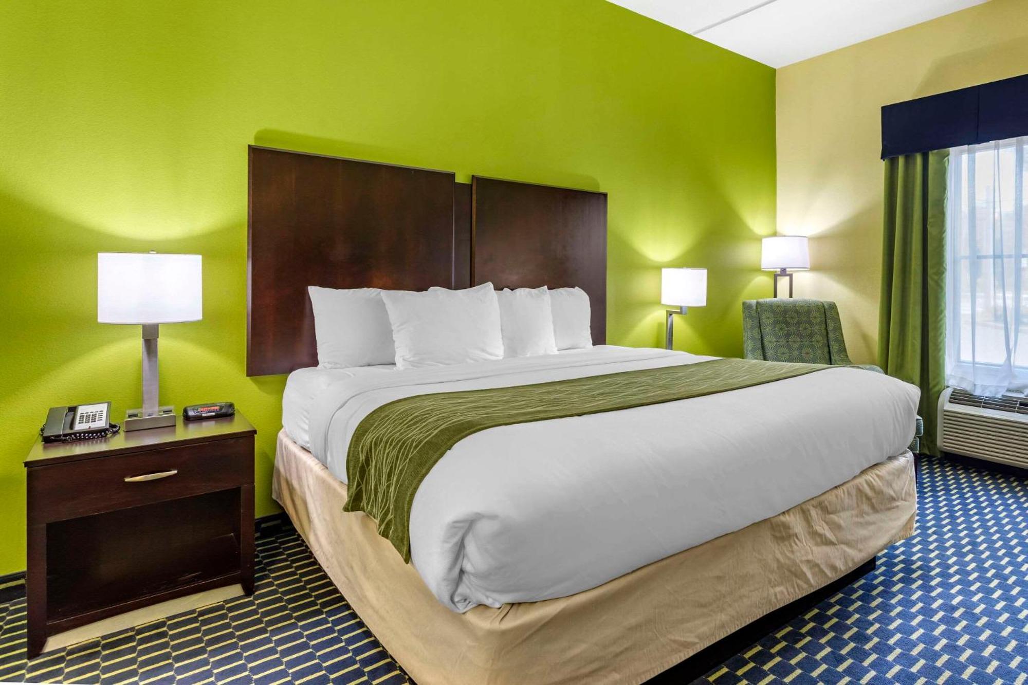 Comfort Inn Athens I - 75 Buitenkant foto