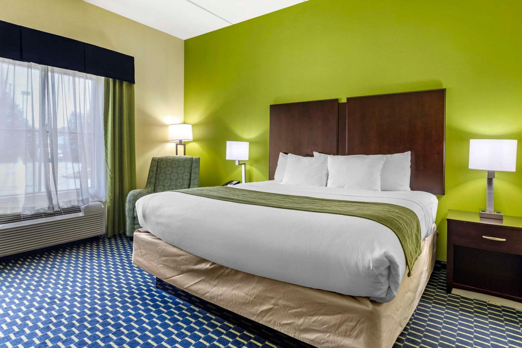 Comfort Inn Athens I - 75 Buitenkant foto