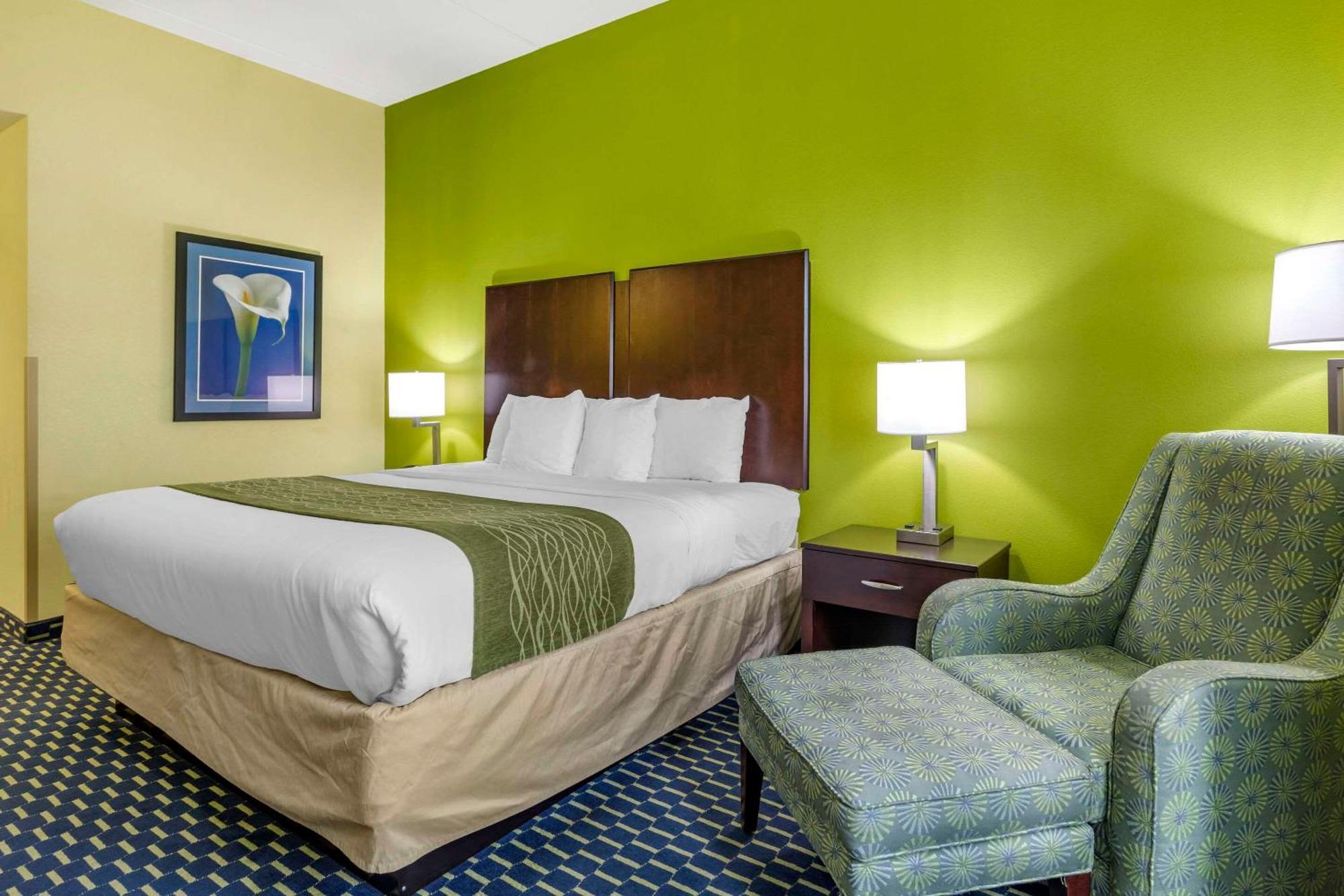 Comfort Inn Athens I - 75 Buitenkant foto