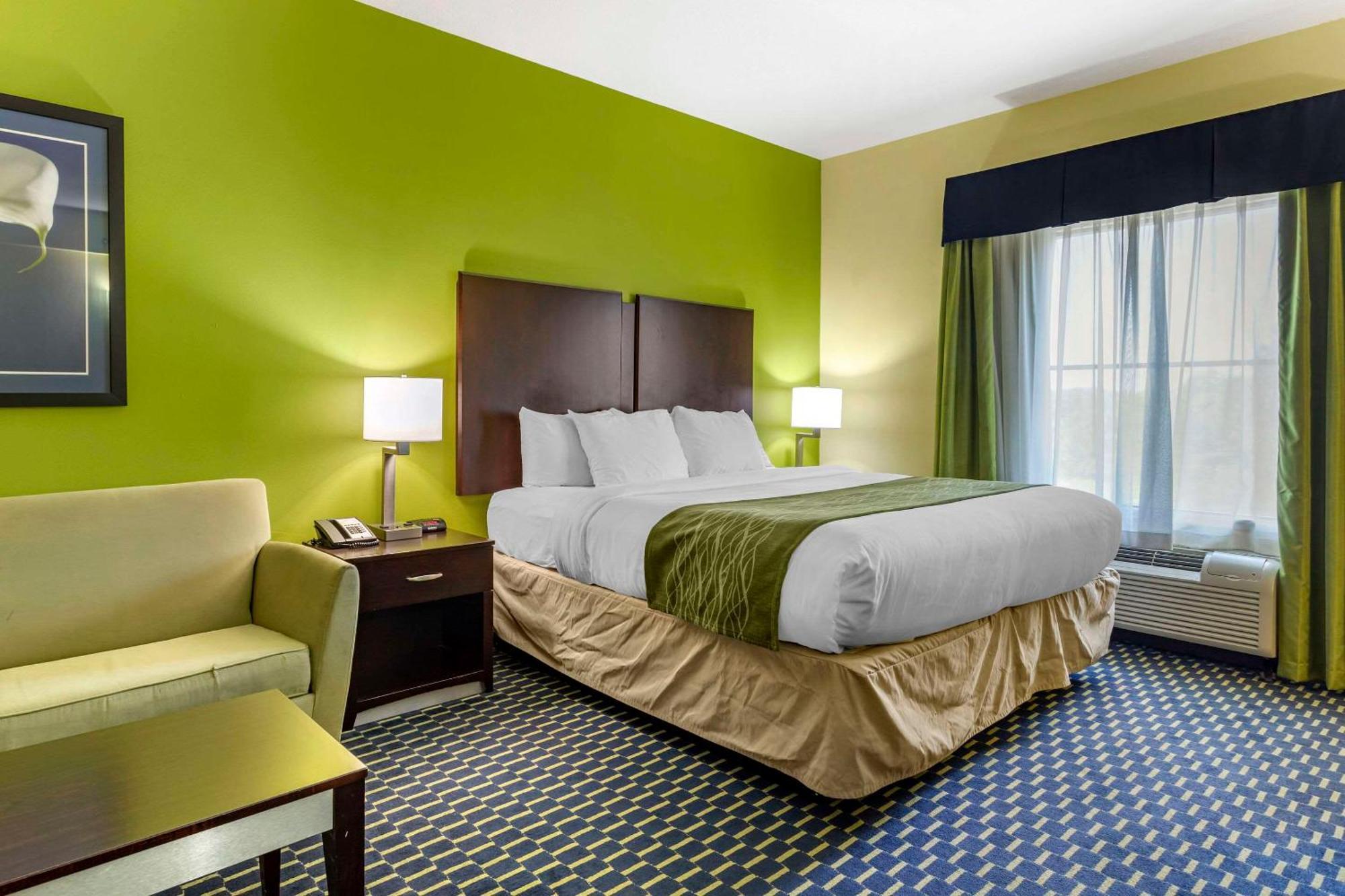 Comfort Inn Athens I - 75 Buitenkant foto